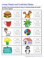 Recognizing Living and Nonliving Things - Shading Circles