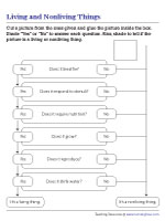 Living and Nonliving Things Template