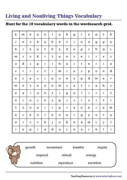 Living and Nonliving Things Vocabulary