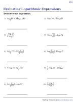 Evaluating Logarithmic Expressions - Moderate | Worksheet #1