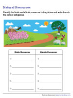 Recognizing Biotic and Abiotic Resources