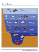 The Five Ocean Zones Chart