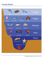 The Five Oceanic Zones