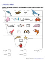 Identifying the Layers of the Ocean