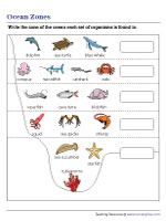 Labeling the Layers of the Ocean