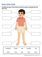 Identifying Parts of the Body