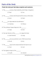 Functions of Body Parts - MCQ