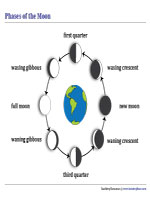 Phases of the Moon Chart