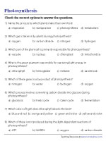 Answering Questions on Photosynthesis