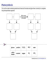 Completing Photosynthesis Equation - Cut and Glue