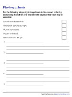 Explaining Steps of Photosynthesis