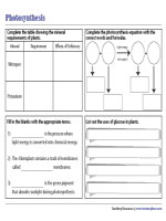 Photosynthesis Mixed Exercises