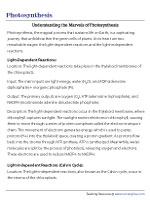 Light-Dependent and Light-Independent Reactions or The Calvin Cycle