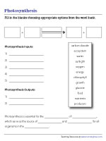 Reactants and Products of Photosynthesis