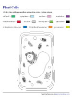 Coloring Parts of a Plant Cell
