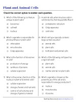 Plant and Animal Cells - MCQ