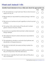 Plant and Animal Cells - True or False