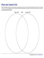 Comparing Animal and Plant Cells - Venn Diagram