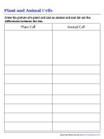 Writing Differences between Plant and Animal Cells