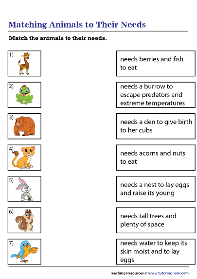 Matching Animals to Their Needs Worksheet