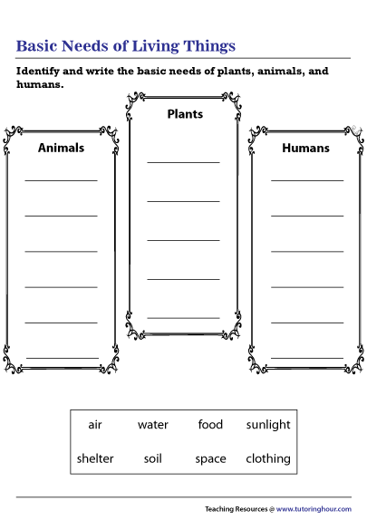 Basic Needs of Living Things Worksheet Basic Needs of Living Things Worksheet