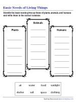 Plant and Animal Needs Worksheets