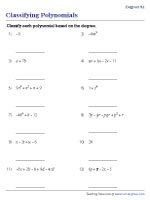 Classifying Polynomials Based on the Degree