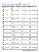 Identifying the Types of Organisms