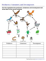 Classifying Producers, Consumers, and Decmposers