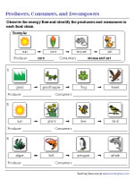 Naming Producers and Consumers Based on Energy Flow