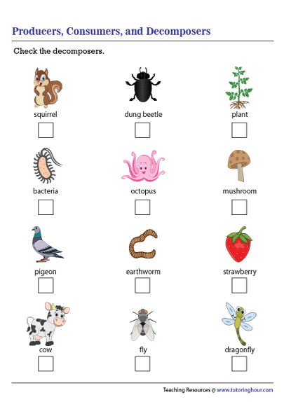 Identifying Decomposers