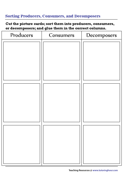 Sorting Producers, Consumers, and Decomposers