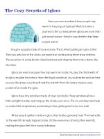 The Cozy Secrets of Igloos