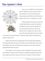 The Spiderweb