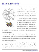 The Spiders Web