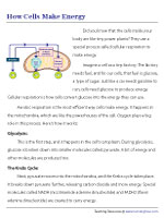 How Cells Make Energy