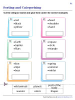 Sorting Examples into Categories