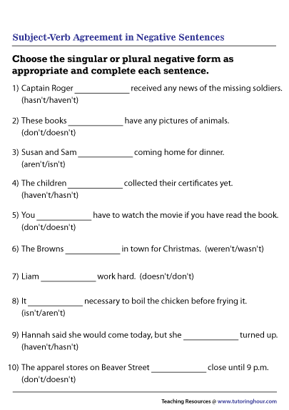 Subject-Verb Agreement in Negative Sentences Worksheet