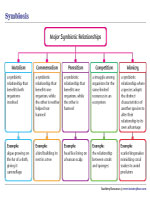 Types of Symbiotic Relationships Chart