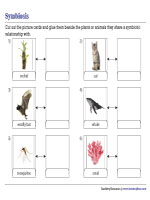 Symbiotic Relationships - Cut and Glue