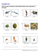 Writing Types of Symbiosis Based on Examples