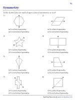 A Line of Symmetry or Not