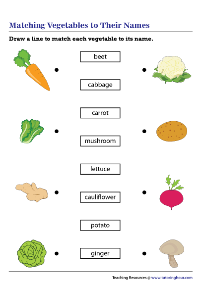 Matching Vegetables to Their Names