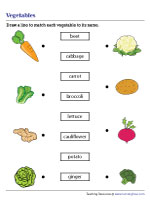 Matching Vegetables with Their Names