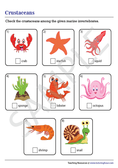 Crustaceans