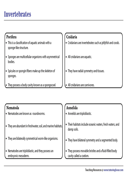 Invertebrates Chart