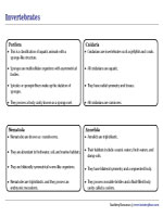 Invertebrates Chart