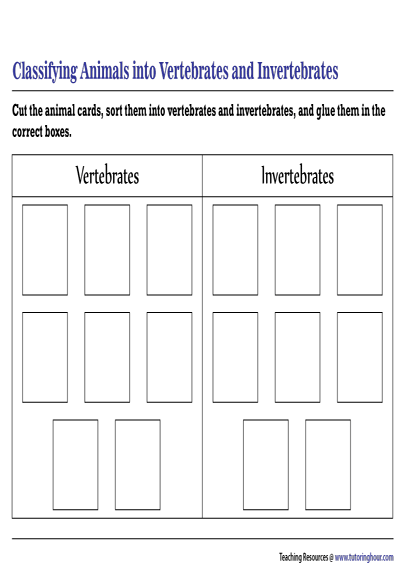 Classifying Animals into Vertebrates and Invertebrates Worksheet Classifying Animals into Vertebrates and Invertebrates Worksheet