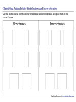 Classifying Animals into Vertebrates and Invertebrates