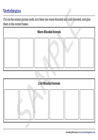 Warm-Blooded and Cold-Blooded Vertebrates